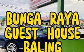 Bunga Raya Guest House Baling